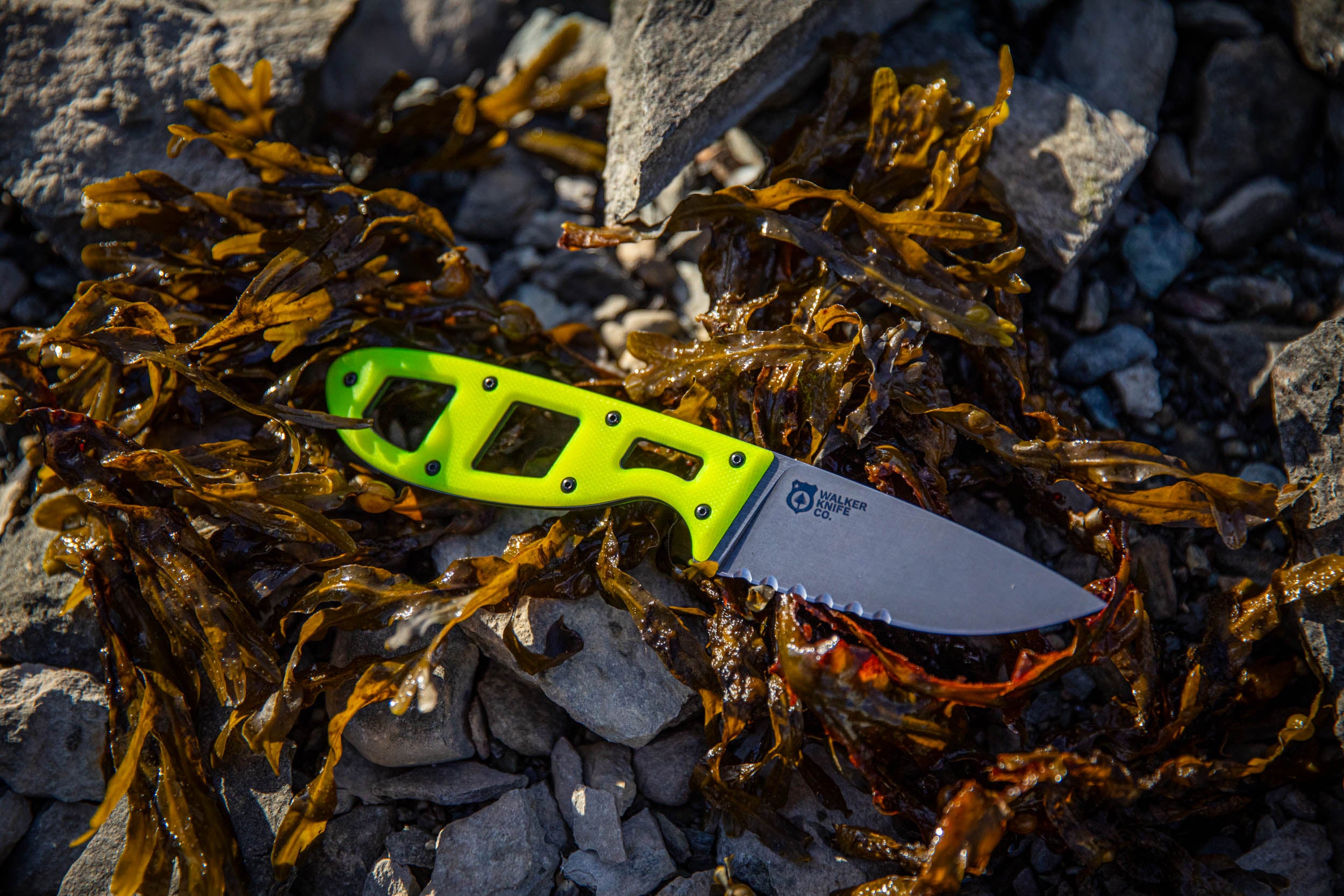 The Crux – Dayglow