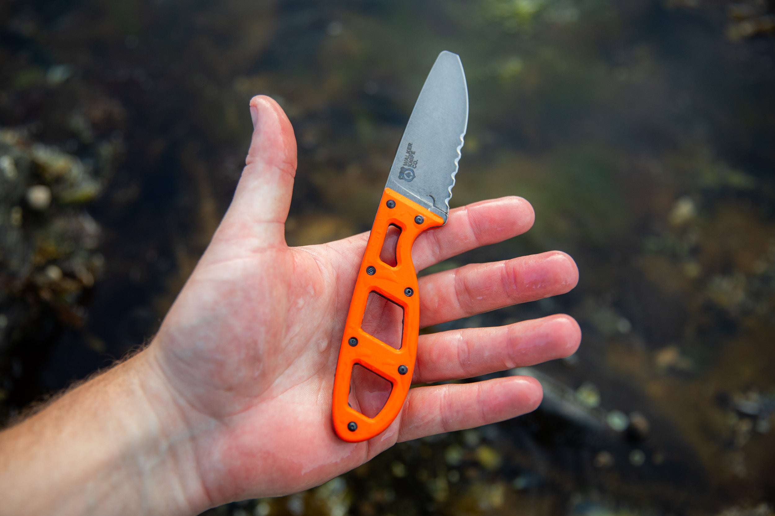 The Crux – Safety Orange