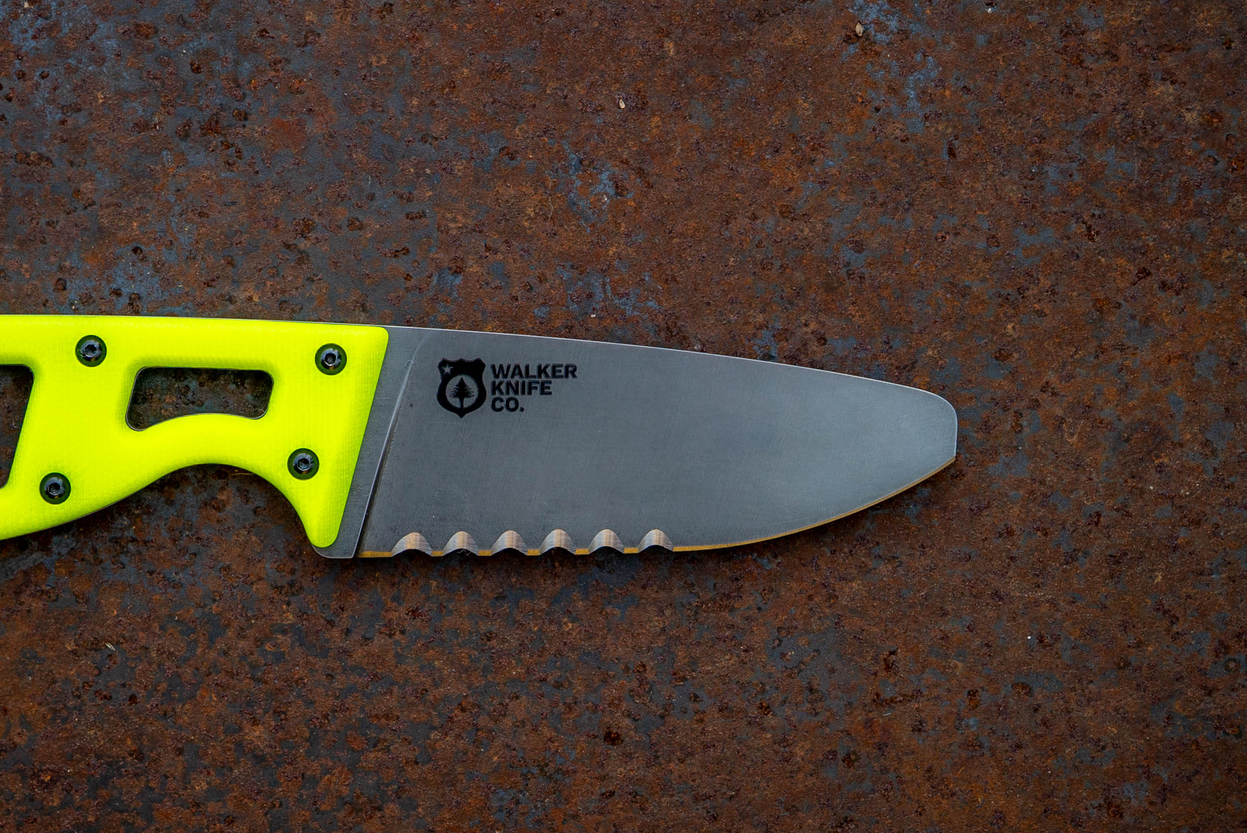 The Crux – Dayglow