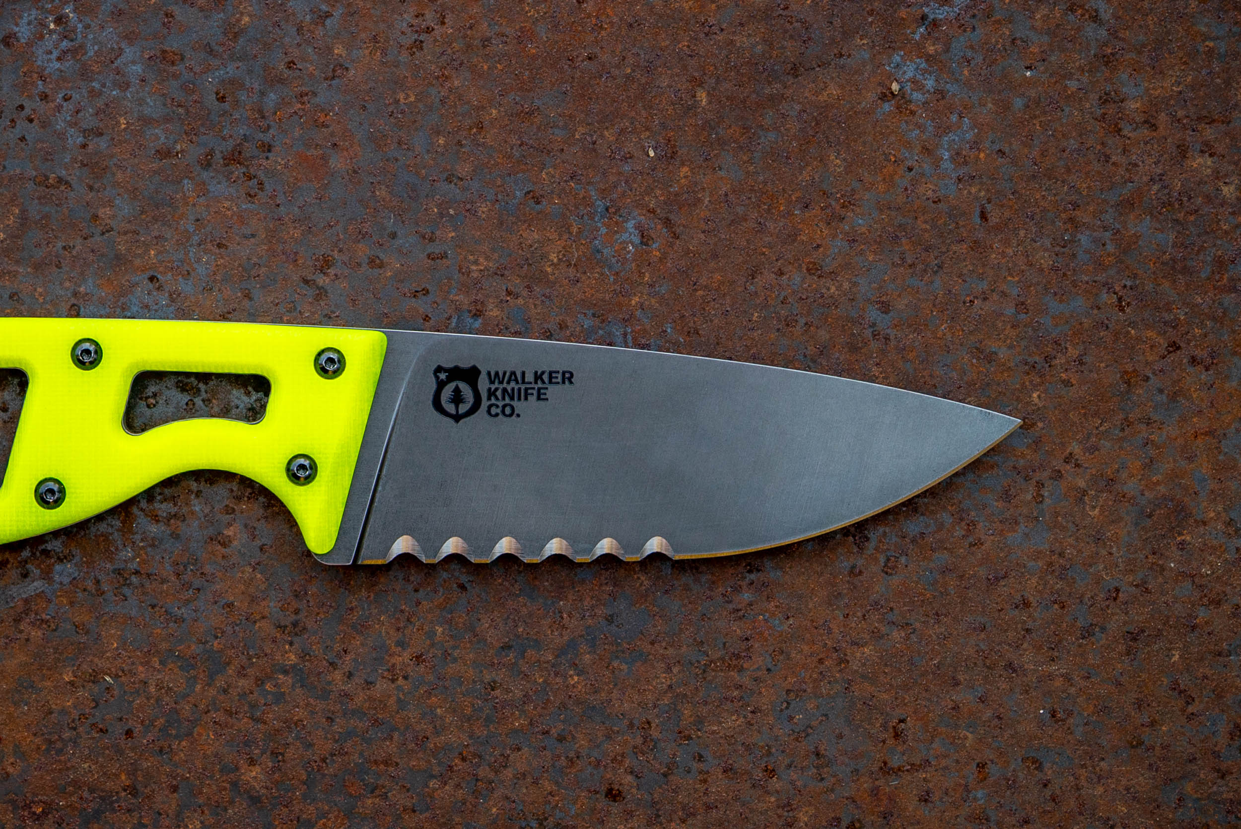 The Crux – Dayglow